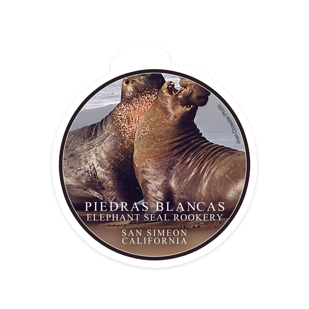 San Simeon, California, Piedras Blancas Elephant Seal Rookery, Contour, Photography Sticker Lantern Press