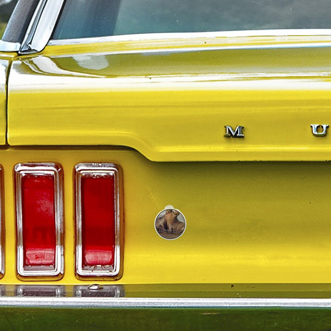San Simeon, California, Piedras Blancas Elephant Seal Rookery, Contour, Photography Sticker Lantern Press