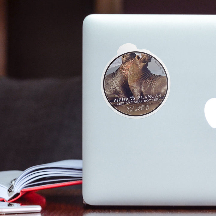 San Simeon, California, Piedras Blancas Elephant Seal Rookery, Contour, Photography Sticker Lantern Press