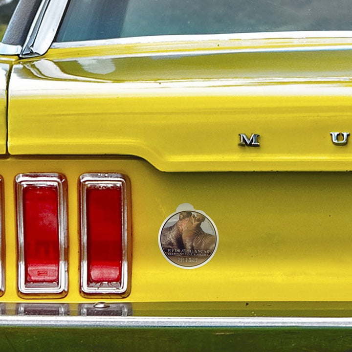 San Simeon, California, Piedras Blancas Elephant Seal Rookery, Contour, Photography Sticker Lantern Press