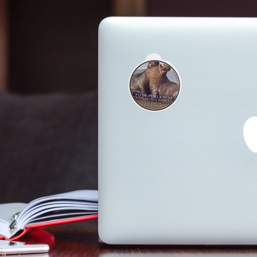 San Simeon, California, Piedras Blancas Elephant Seal Rookery, Contour, Photography Sticker Lantern Press