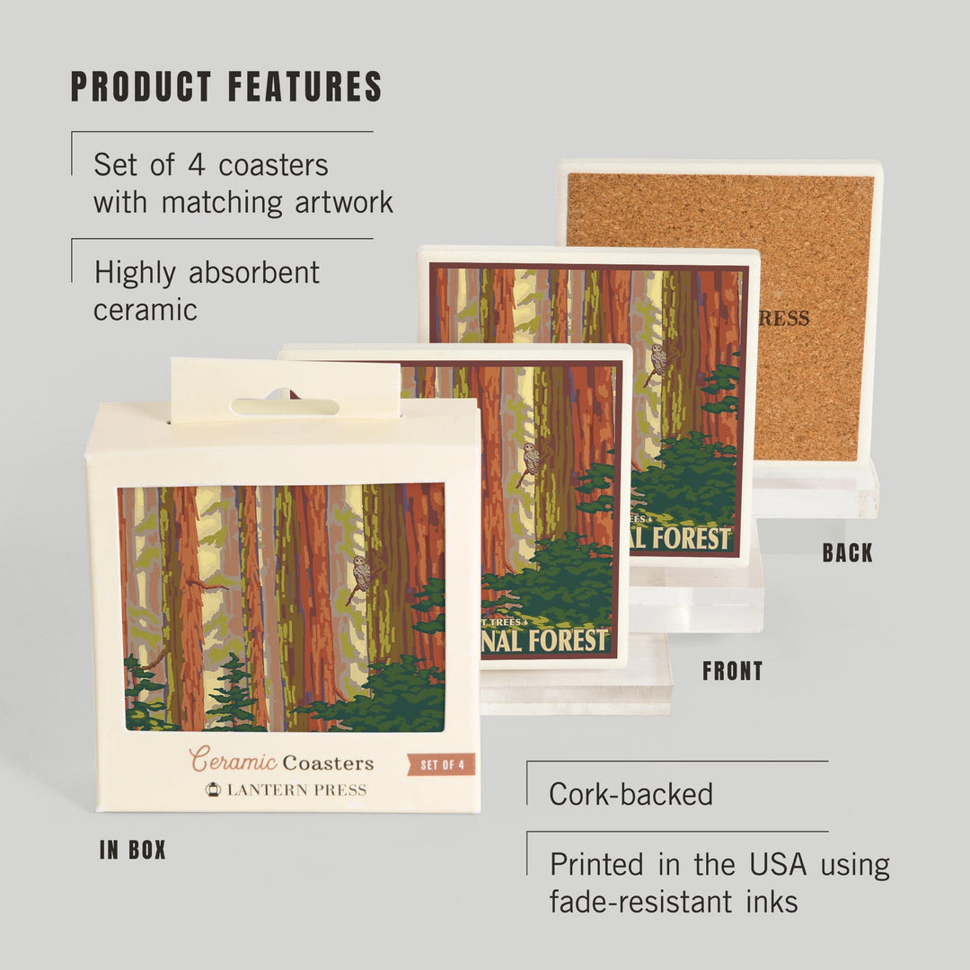 Sequoia National Forest, California, Redwood Trees, Coasters Coasters Lantern Press