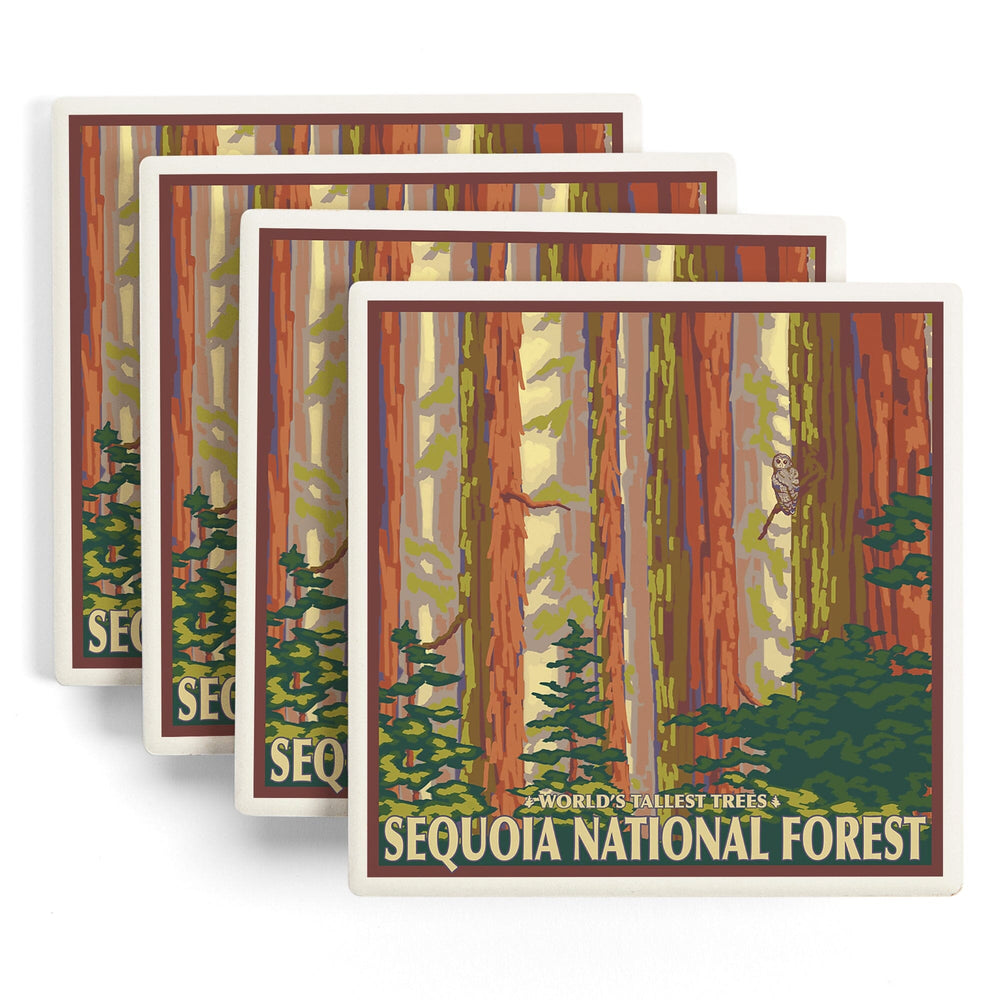 Sequoia National Forest, California, Redwood Trees, Coasters Coasters Lantern Press