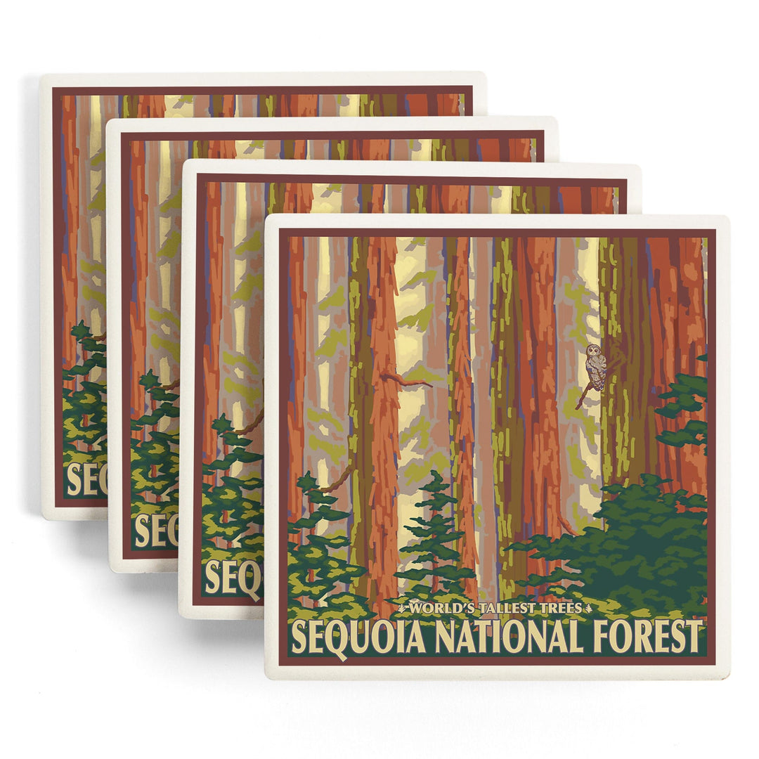 Sequoia National Forest, California, Redwood Trees, Coasters Coasters Lantern Press