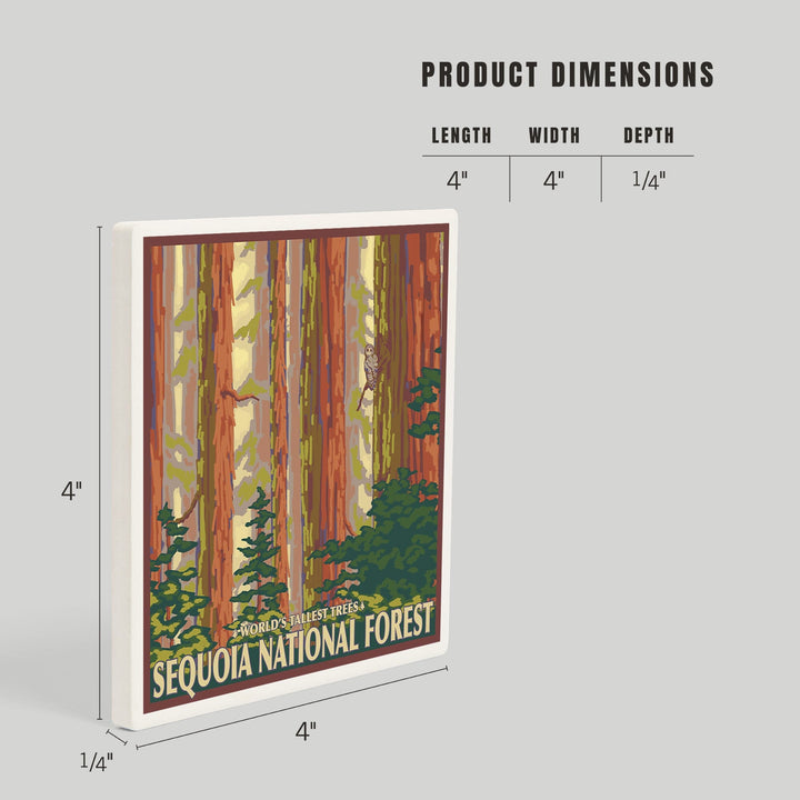 Sequoia National Forest, California, Redwood Trees, Coasters Coasters Lantern Press