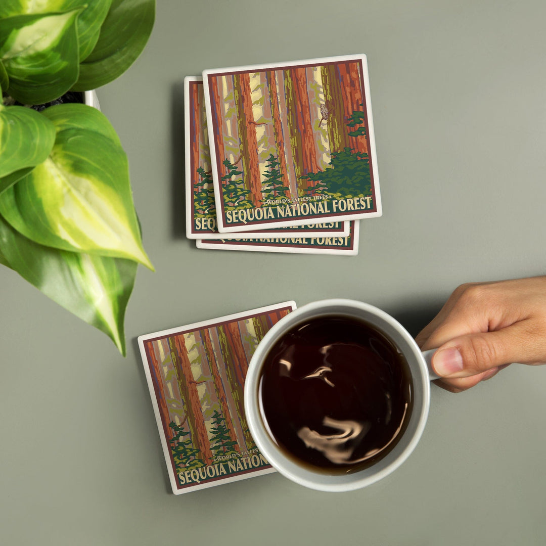 Sequoia National Forest, California, Redwood Trees, Coasters Coasters Lantern Press