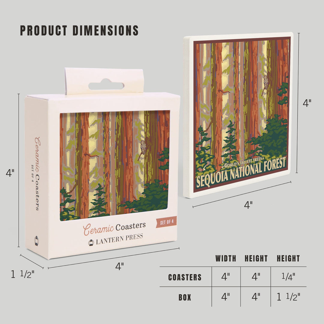 Sequoia National Forest, California, Redwood Trees, Coasters Coasters Lantern Press