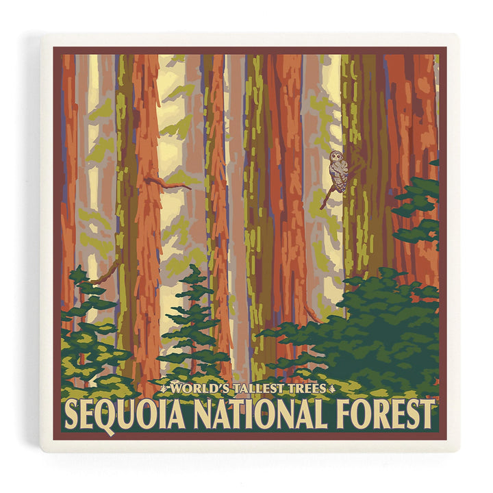Sequoia National Forest, California, Redwood Trees, Coasters Coasters Lantern Press Coaster