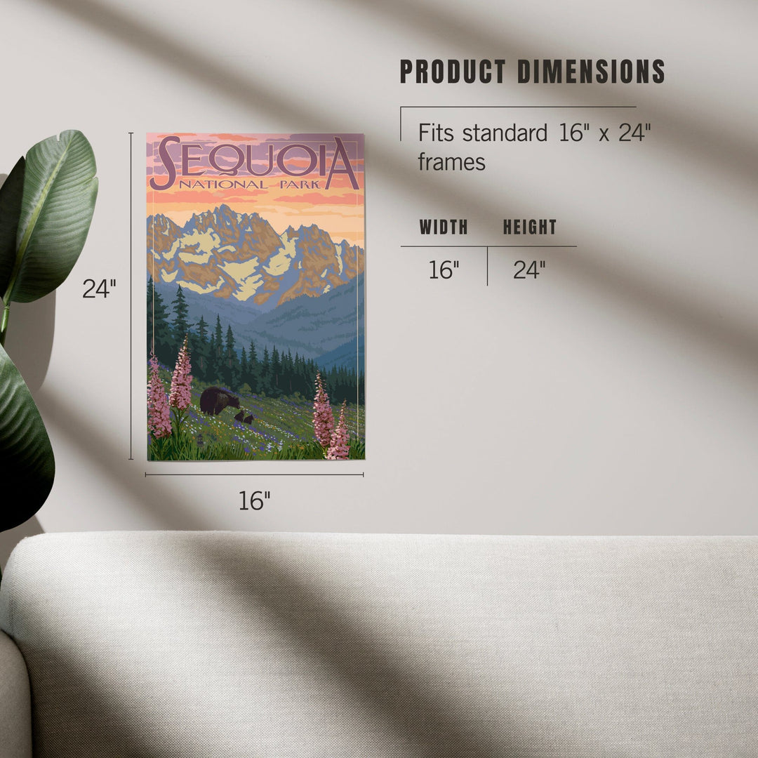 Sequoia National Park, California, Spring Flowers, Art & Giclee Prints Art Lantern Press