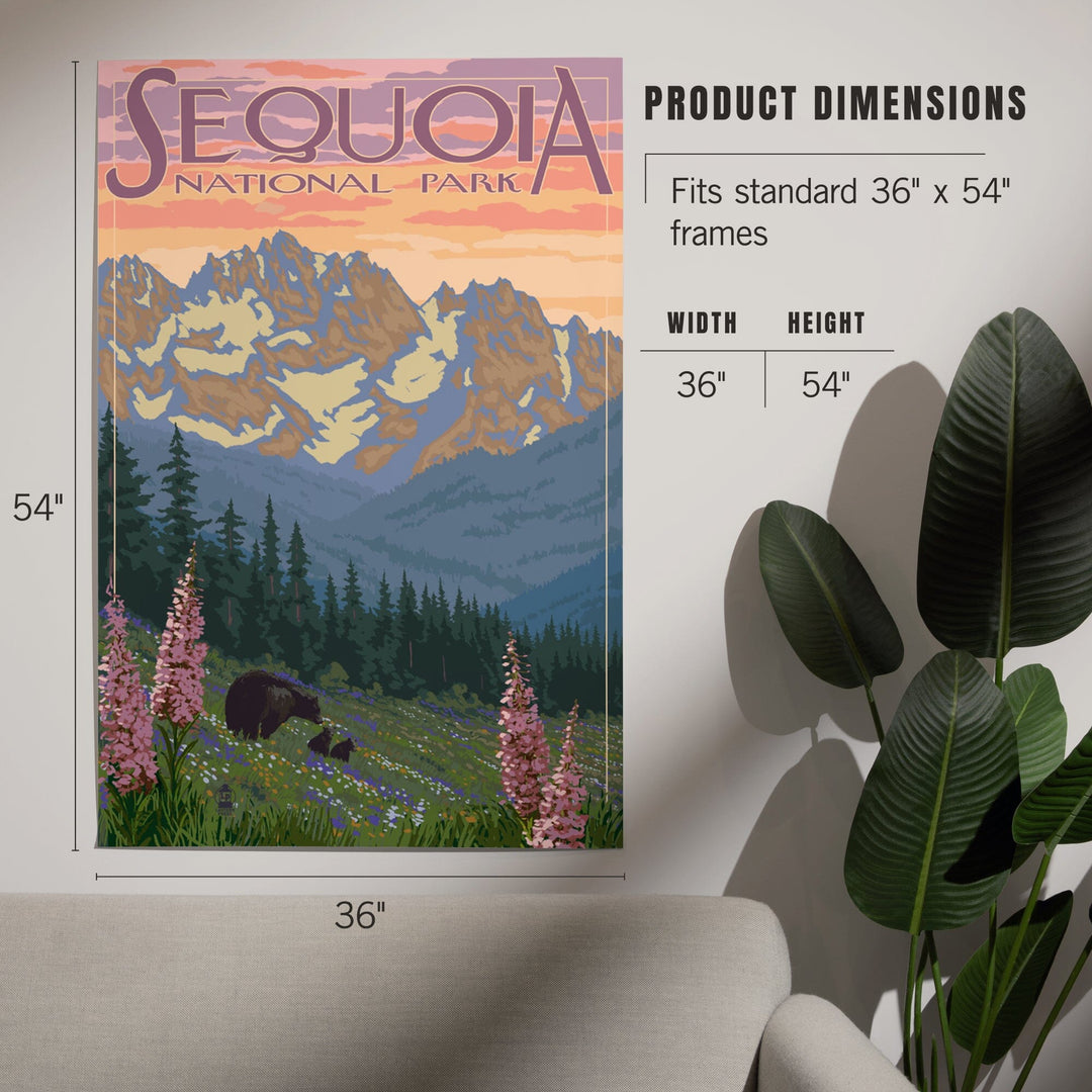Sequoia National Park, California, Spring Flowers, Art & Giclee Prints Art Lantern Press