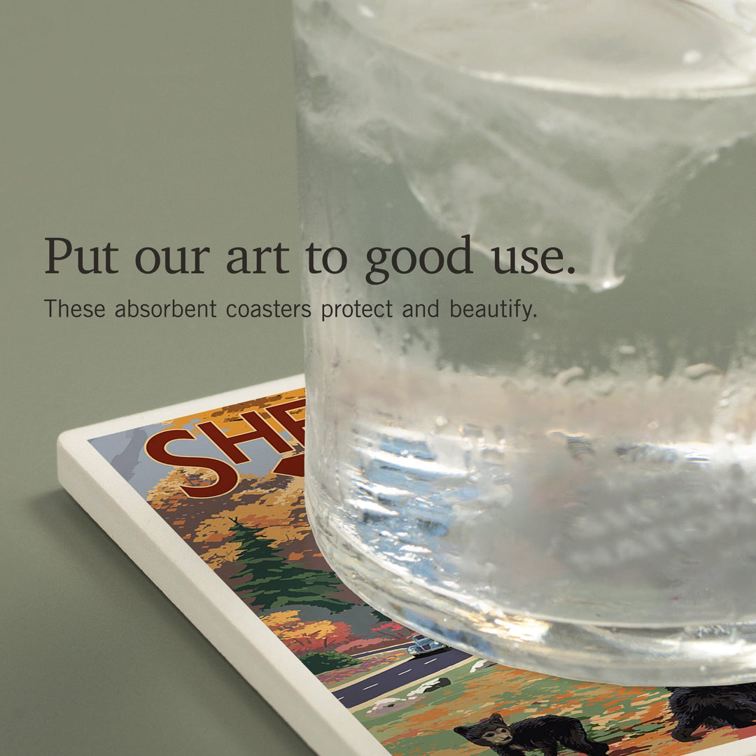 Shenandoah National Park, Virginia, Black Bear and Cubs at Entrance, Coasters Coasters Lantern Press