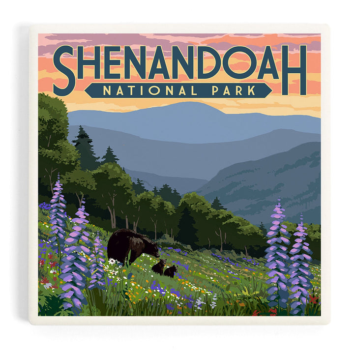 Shenandoah National Park, Virginia, Black Bear and Cubs with Flowers, Coasters Coasters Lantern Press Coaster