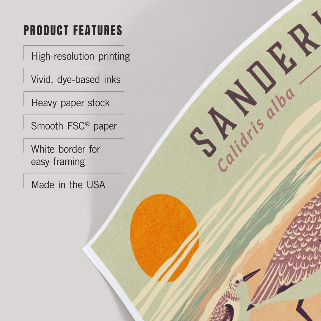 Shorebirds at Sunset Collection, Sanderlings, Birds, Art & Giclee Prints Art Lantern Press