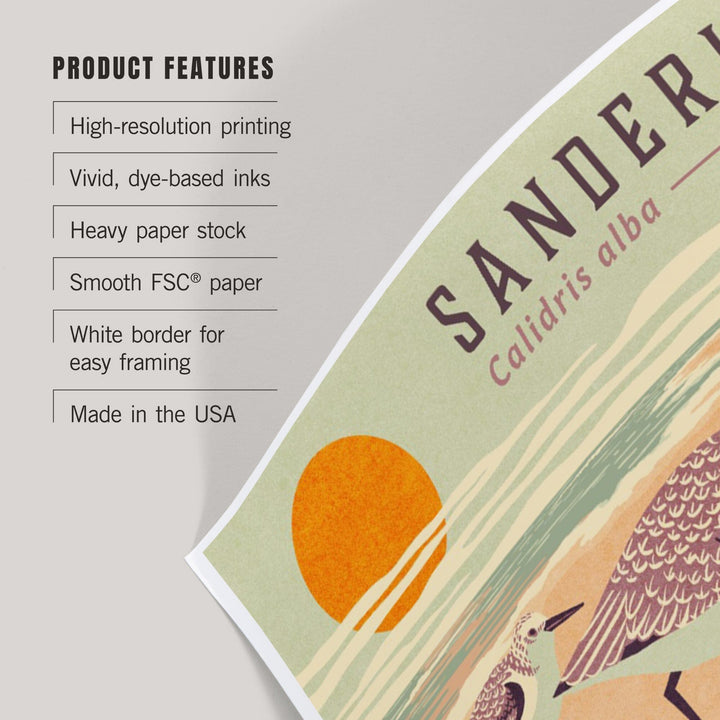 Shorebirds at Sunset Collection, Sanderlings, Birds, Art & Giclee Prints Art Lantern Press