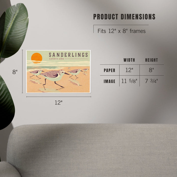 Shorebirds at Sunset Collection, Sanderlings, Birds, Art & Giclee Prints Art Lantern Press