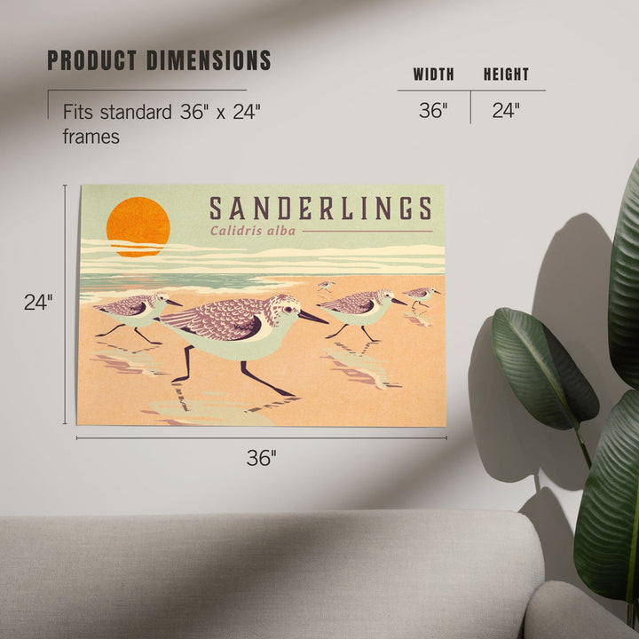 Shorebirds at Sunset Collection, Sanderlings, Birds, Art & Giclee Prints Art Lantern Press