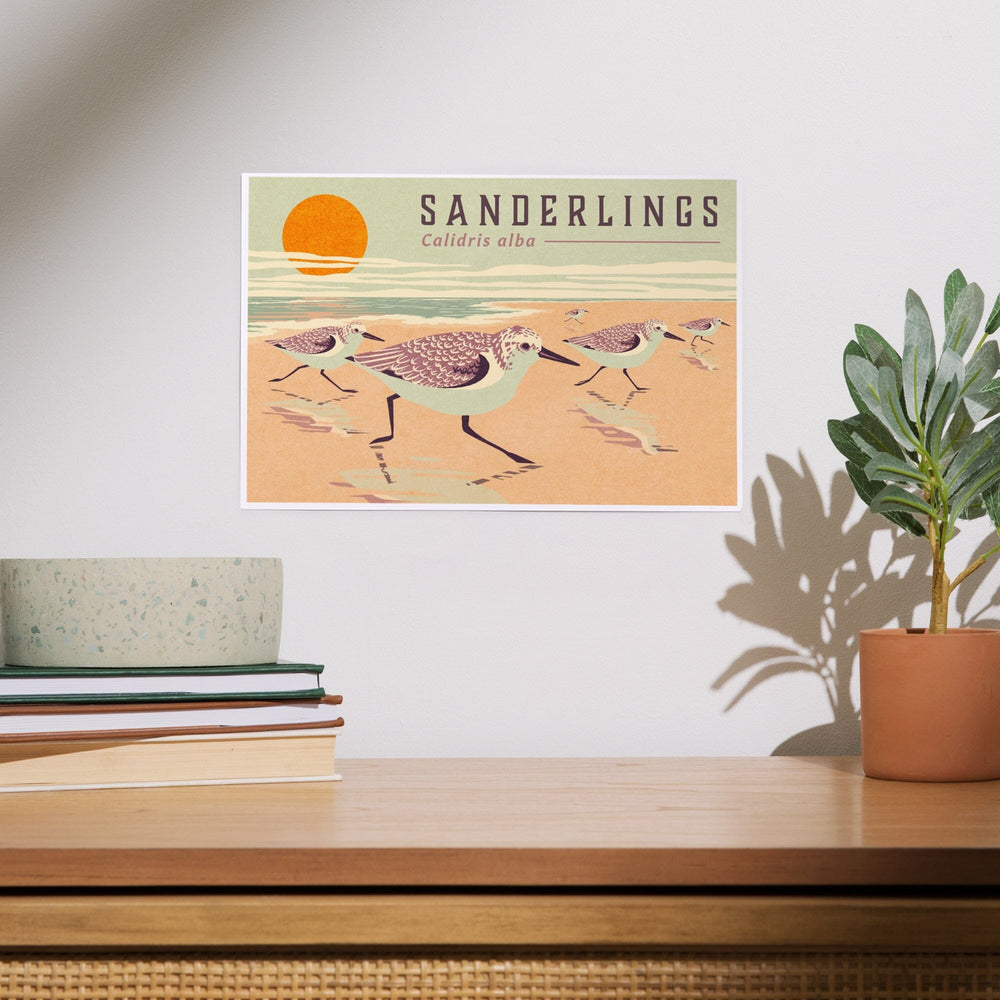 Shorebirds at Sunset Collection, Sanderlings, Birds, Art & Giclee Prints Art Lantern Press