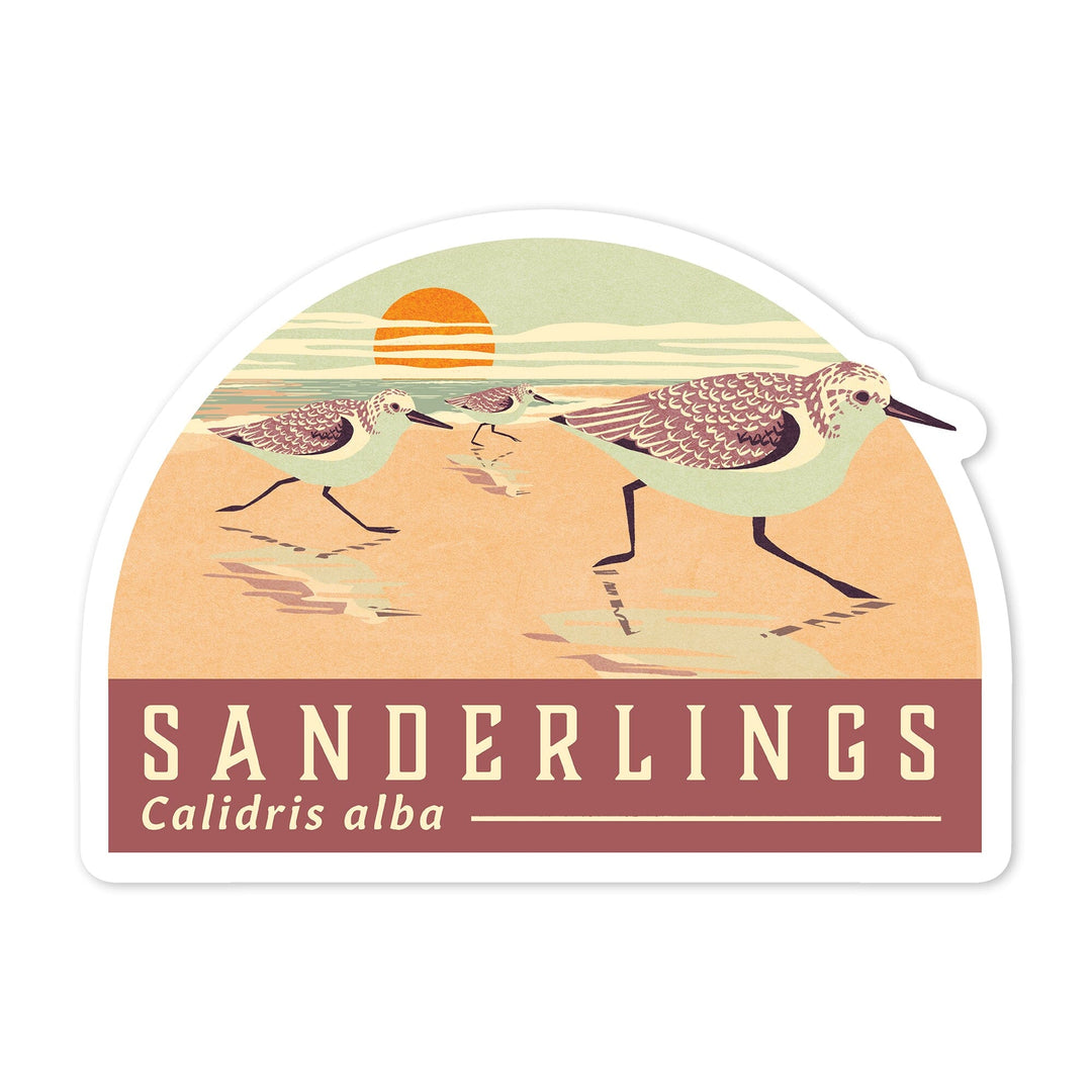 Shorebirds at Sunset Collection, Sanderlings, Birds, Contour, Vinyl Sticker Sticker Lantern Press
