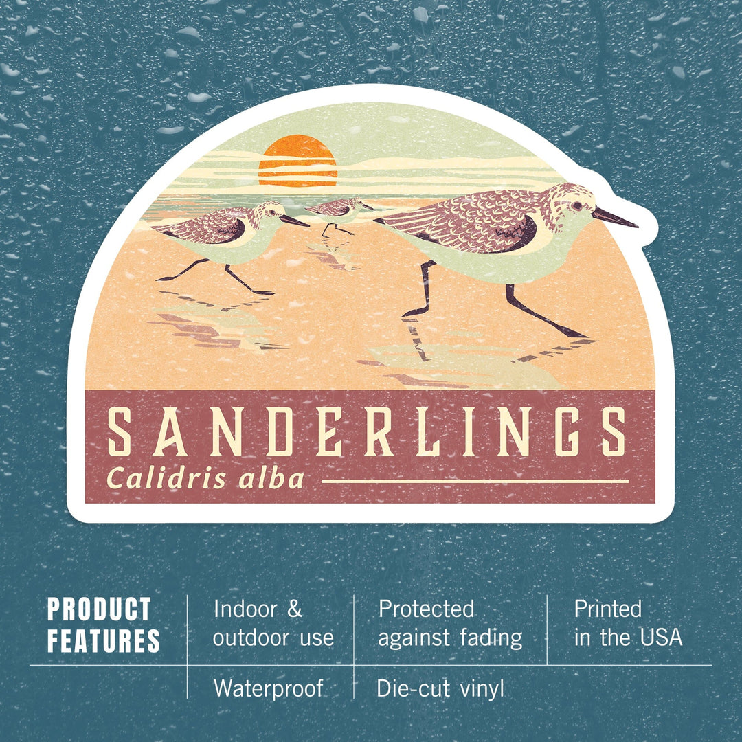 Shorebirds at Sunset Collection, Sanderlings, Birds, Contour, Vinyl Sticker Sticker Lantern Press