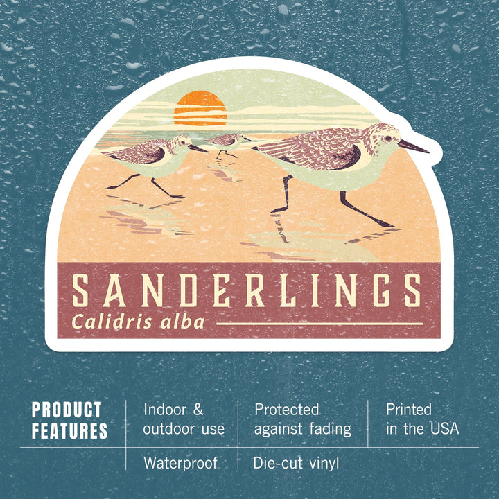 Shorebirds at Sunset Collection, Sanderlings, Birds, Contour, Vinyl Sticker Sticker Lantern Press