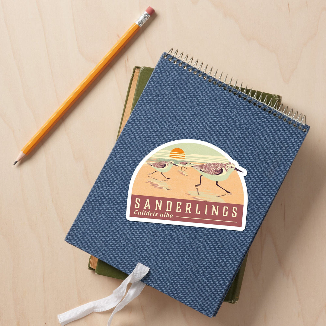 Shorebirds at Sunset Collection, Sanderlings, Birds, Contour, Vinyl Sticker Sticker Lantern Press