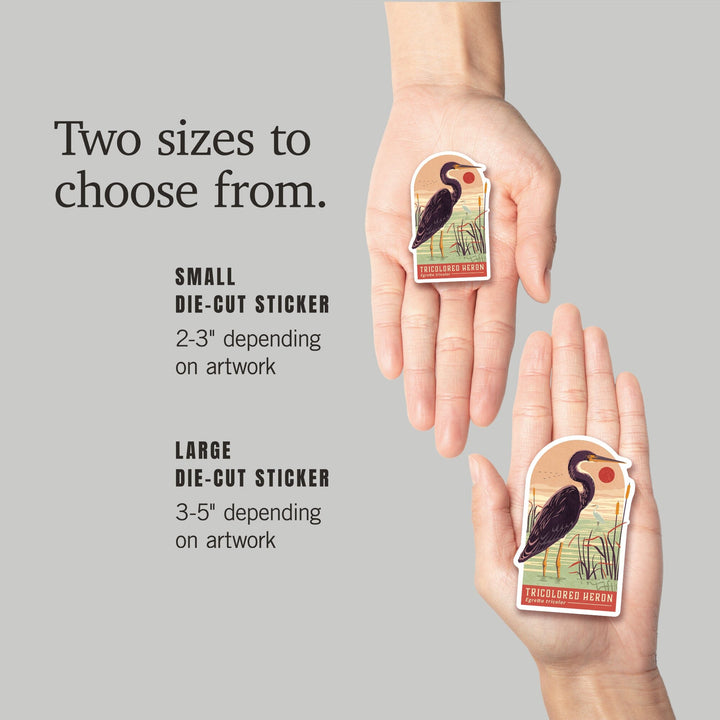 Shorebirds at Sunset Collection, Tricolored Heron, Bird, Contour, Vinyl Sticker Sticker Lantern Press