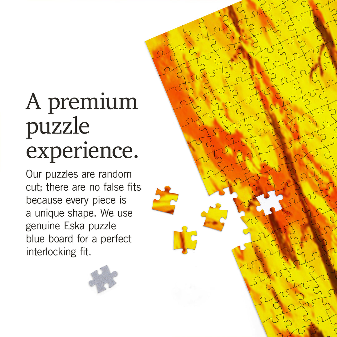 Smokey Bear, Remember, Officially Licensed Vintage Poster, Jigsaw Puzzle Puzzle Lantern Press