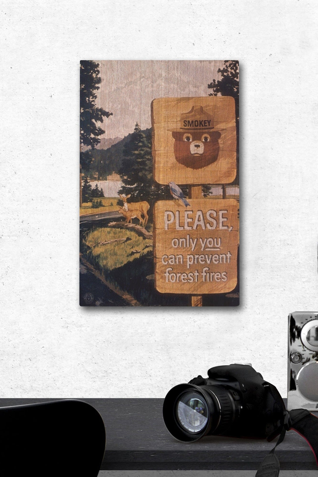 Smokey Bear, Smokey Signs, Vintage Poster, Wood Signs and Postcards Wood Lantern Press 12 x 18 Wood Gallery Print