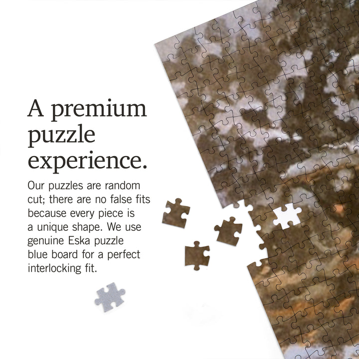 Smokey Bear, Time it Took to Grow a Tree, Officially Licensed Vintage Poster, Jigsaw Puzzle Puzzle Lantern Press