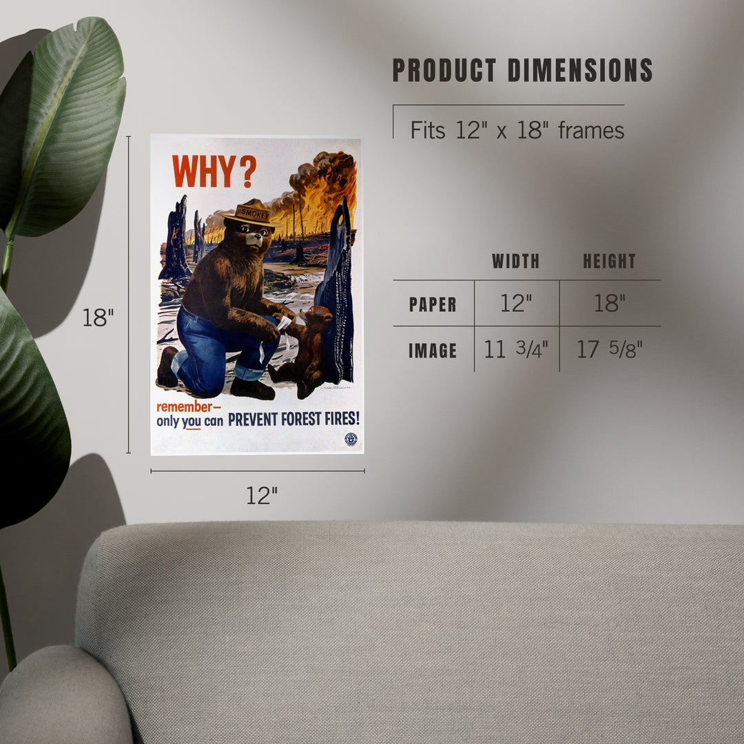 Smokey Bear, Why, Officially Licensed Vintage Poster, Art & Giclee Prints Art Lantern Press