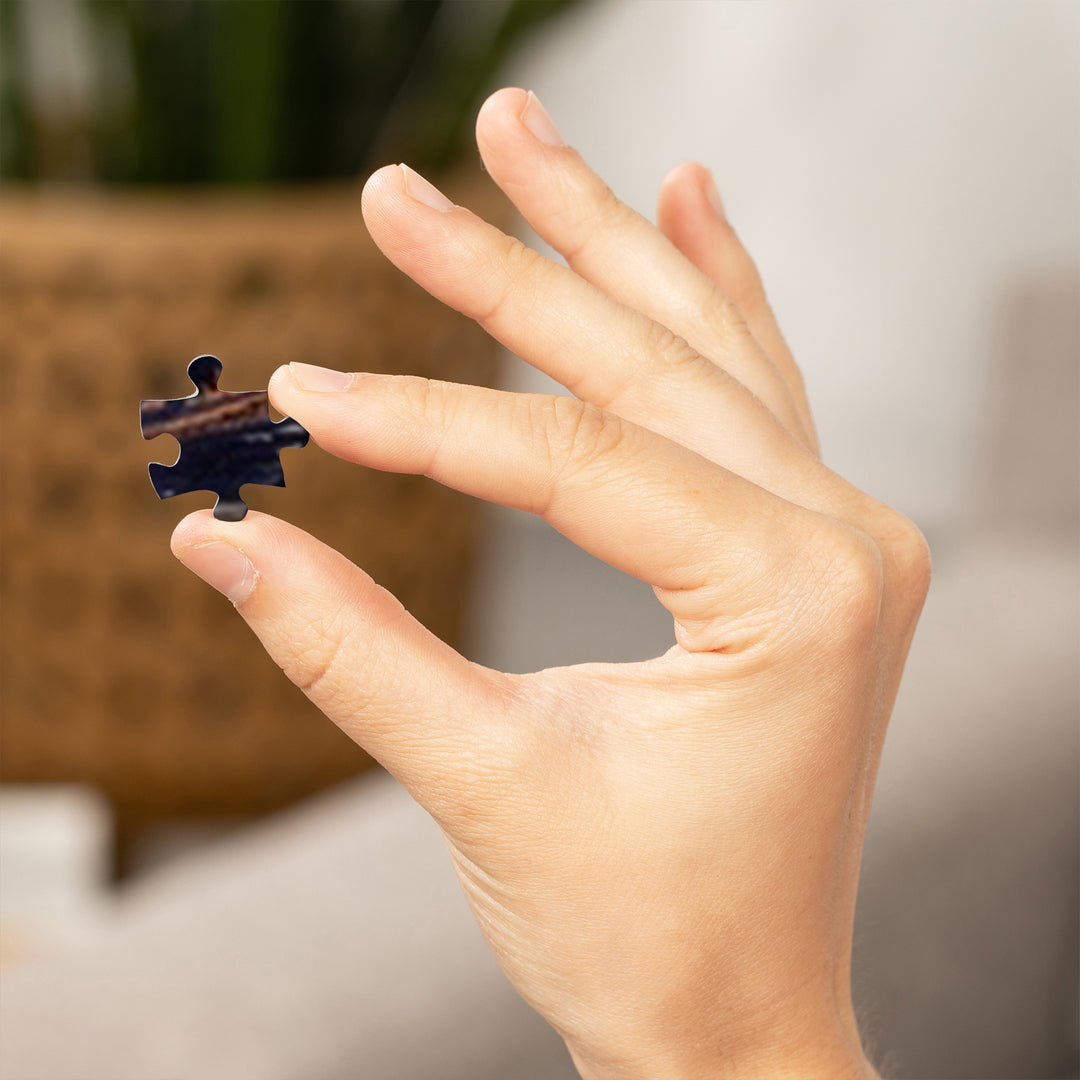 Smokey Bear, Why, Officially Licensed Vintage Poster, Jigsaw Puzzle Puzzle Lantern Press