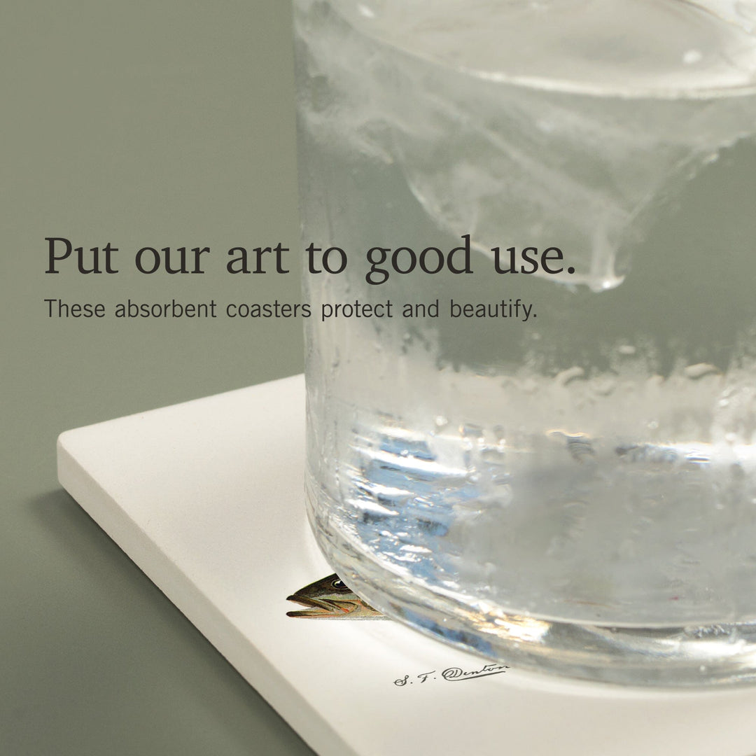 Striped Bass, Denton Fish Print, Coasters Coasters Lantern Press