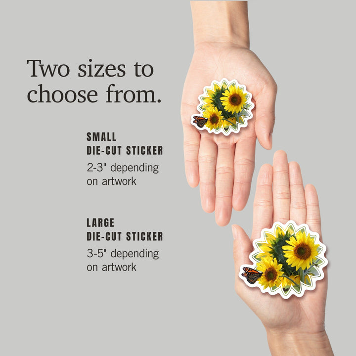 Sunflowers, Butterfly, Contour, Photography, Vinyl Sticker Sticker Lantern Press