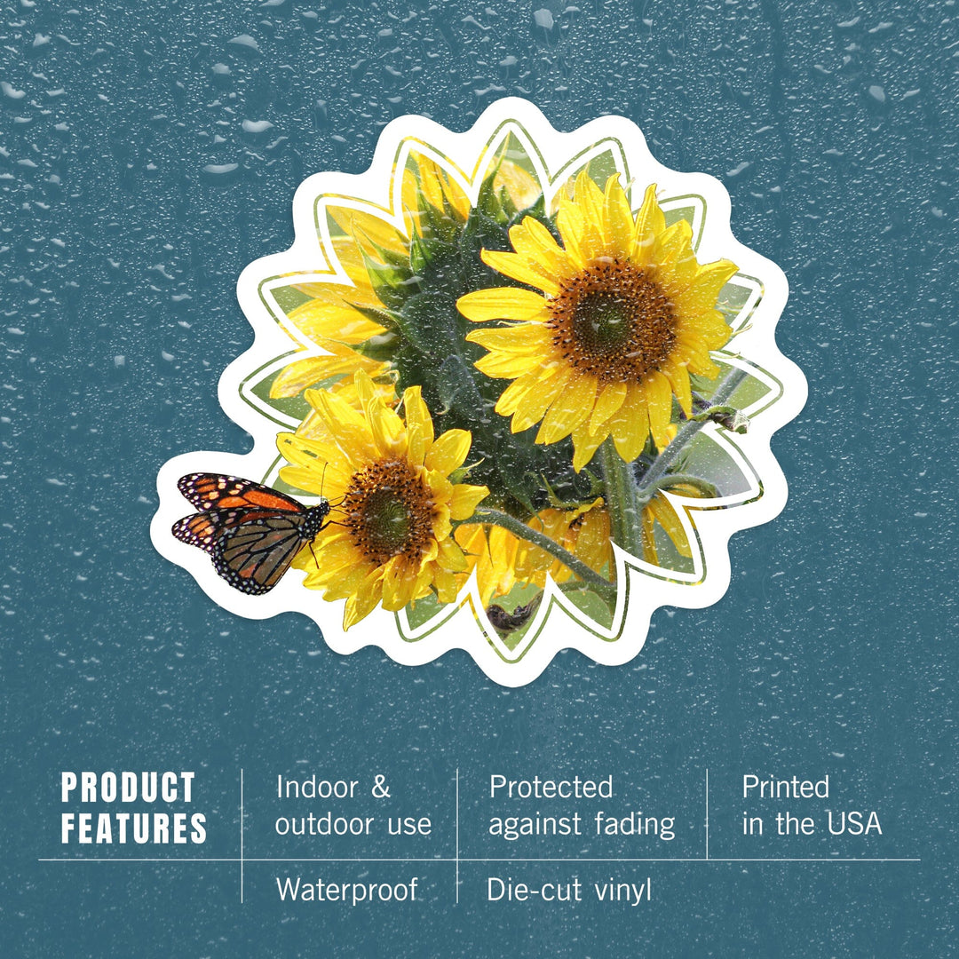 Sunflowers, Butterfly, Contour, Photography, Vinyl Sticker Sticker Lantern Press