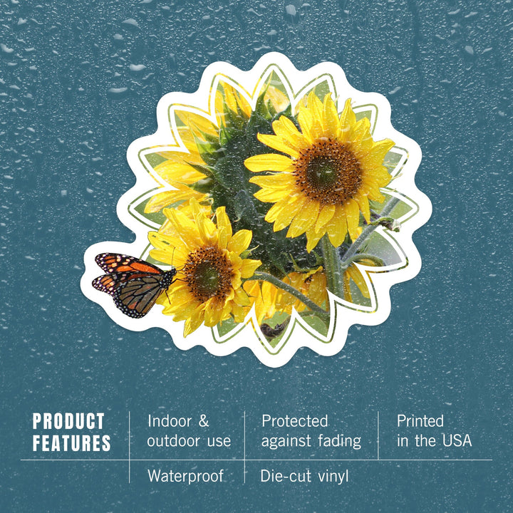 Sunflowers, Butterfly, Contour, Photography, Vinyl Sticker Sticker Lantern Press