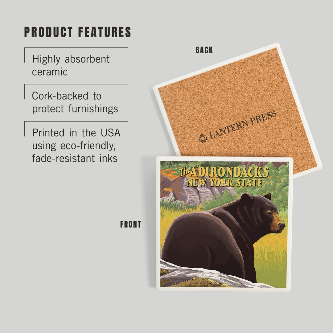 The Adirondacks, New York, Black Bear in Forest, Coasters Coasters Lantern Press