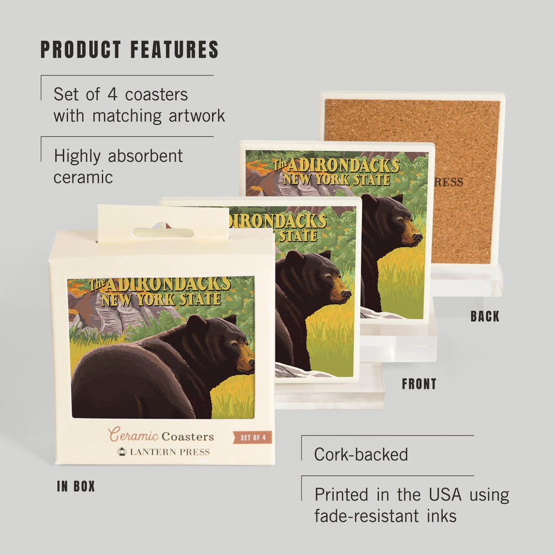 The Adirondacks, New York, Black Bear in Forest, Coasters Coasters Lantern Press