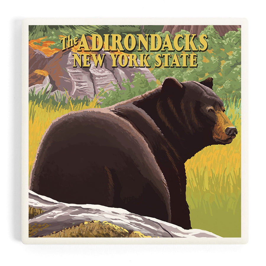 The Adirondacks, New York, Black Bear in Forest, Coasters Coasters Lantern Press