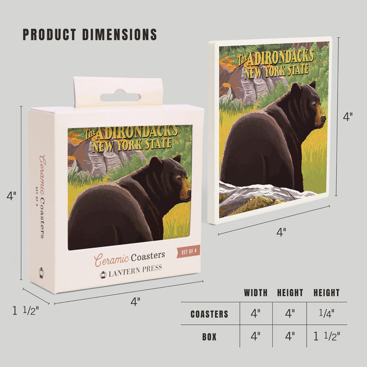 The Adirondacks, New York, Black Bear in Forest, Coasters Coasters Lantern Press