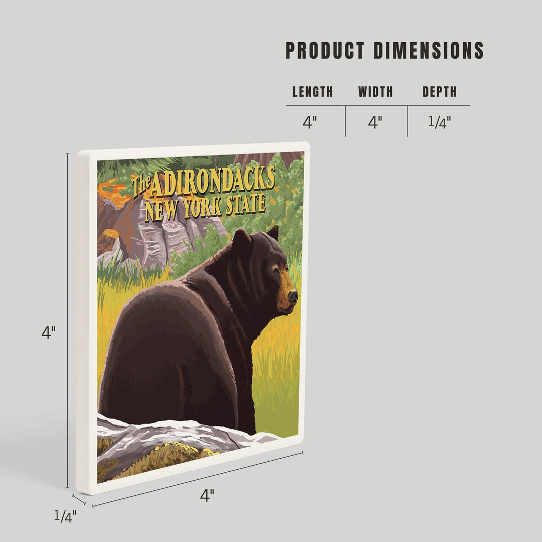 The Adirondacks, New York, Black Bear in Forest, Coasters Coasters Lantern Press