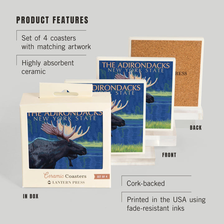 The Adirondacks, New York, Moose at Night, Coasters Coasters Lantern Press