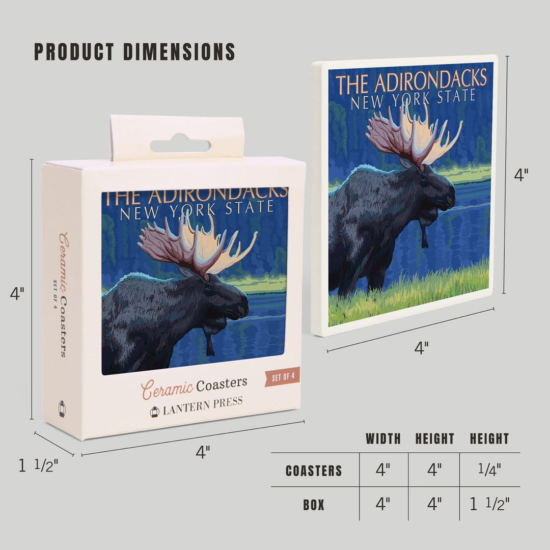 The Adirondacks, New York, Moose at Night, Coasters Coasters Lantern Press