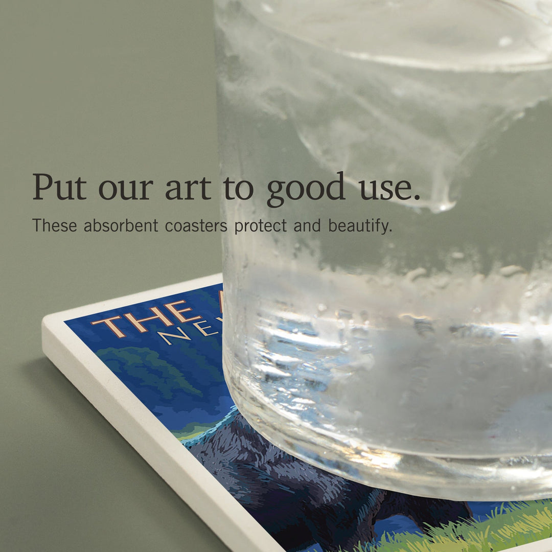 The Adirondacks, New York, Moose at Night, Coasters Coasters Lantern Press