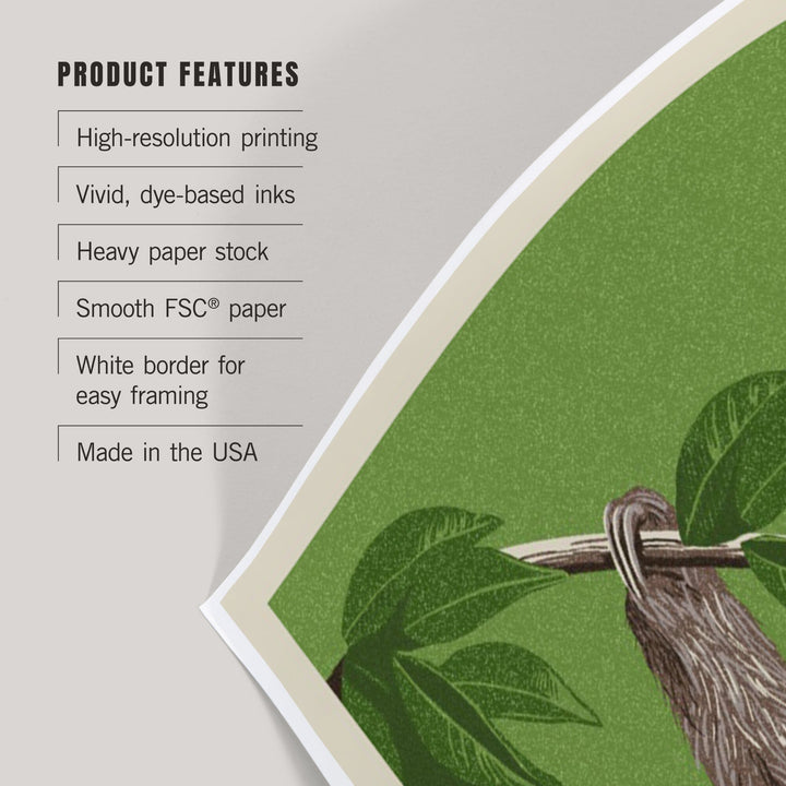 Three Toed Sloth, Letterpress, Art & Giclee Prints Art Lantern Press