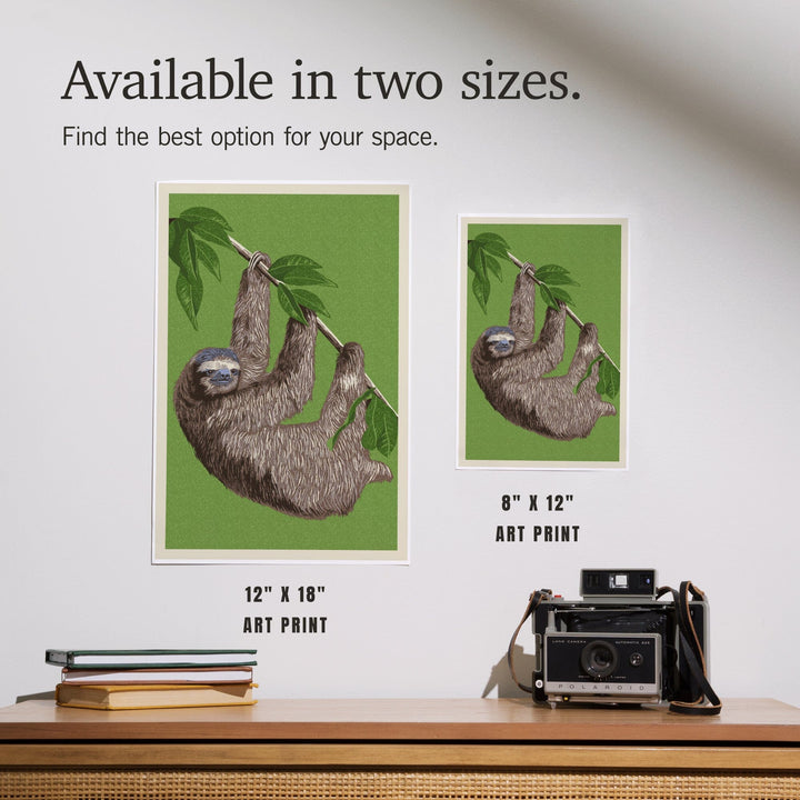 Three Toed Sloth, Letterpress, Art & Giclee Prints Art Lantern Press