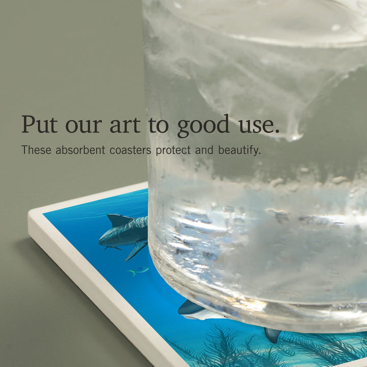 Tiger Shark, Coasters Coasters Lantern Press