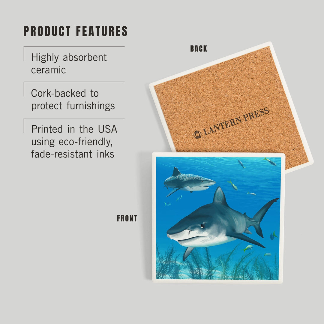 Tiger Shark, Coasters Coasters Lantern Press