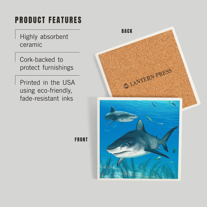 Tiger Shark, Coasters Coasters Lantern Press