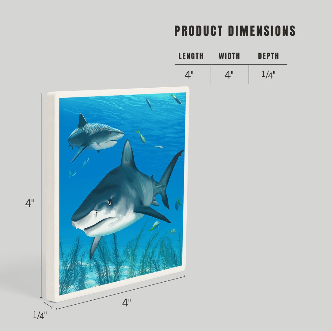 Tiger Shark, Coasters Coasters Lantern Press