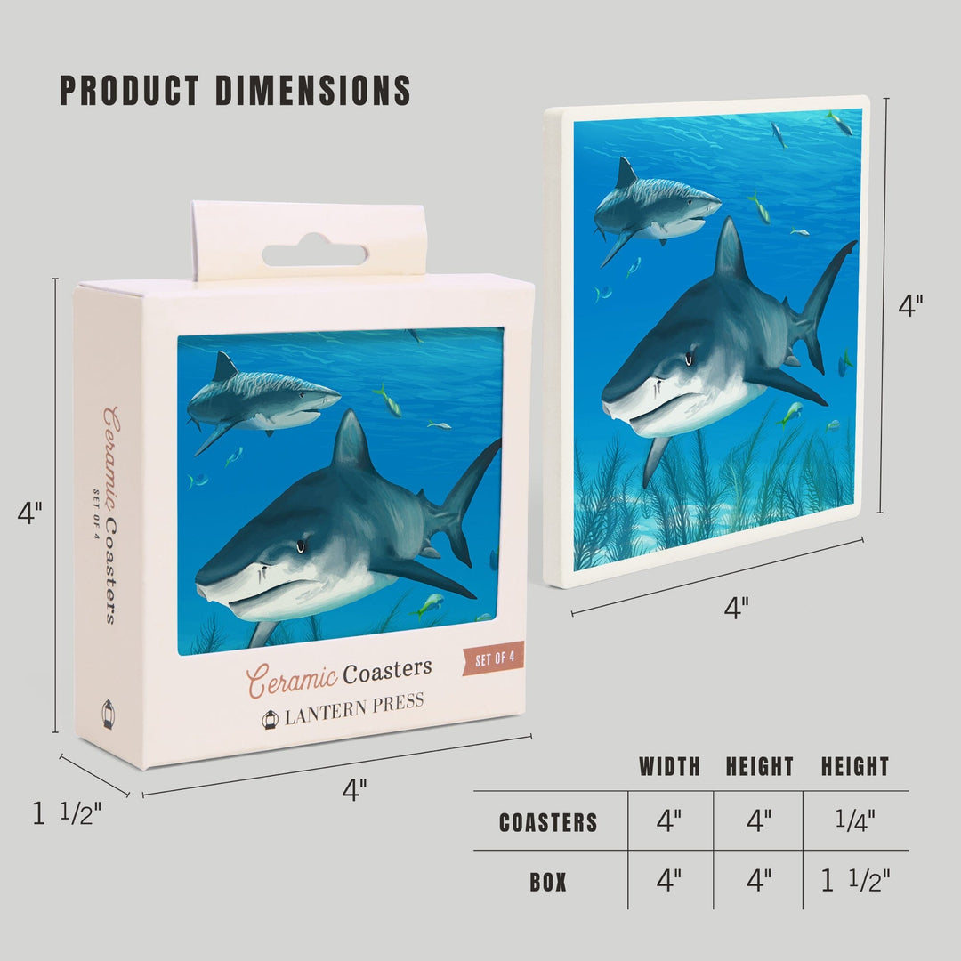 Tiger Shark, Coasters Coasters Lantern Press